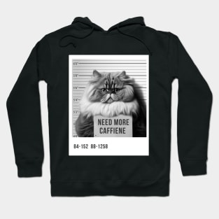 Convicted Cat Hoodie